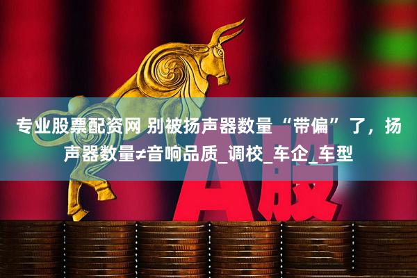 专业股票配资网 别被扬声器数量 “带偏” 了，扬声器数量≠音响品质_调校_车企_车型